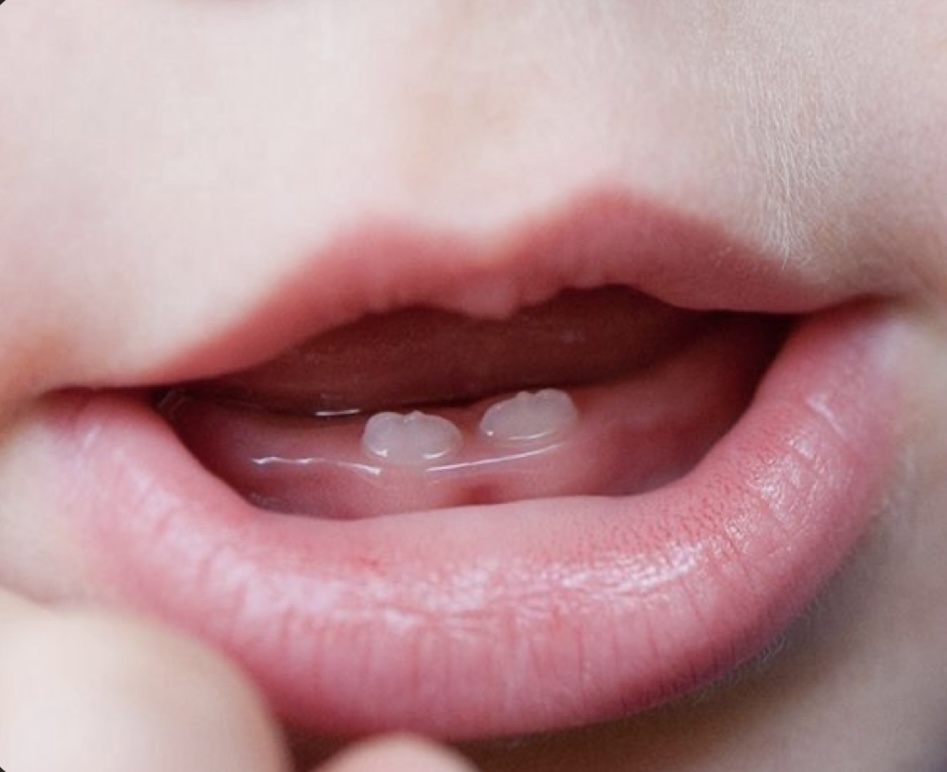 HOGAR DENTAL